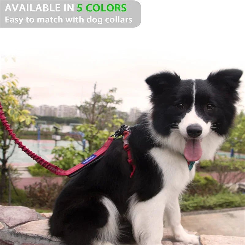 4 in 1 Shock Absorbing Dog Leash - The Happy Pet Store