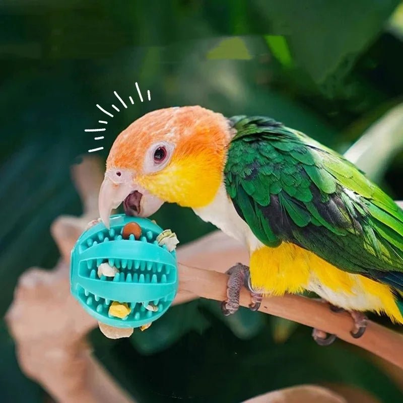 Cross - border pet dog leakage toy balls, teething puzzles, anti - boring and biting training toys - The Happy Pet Store