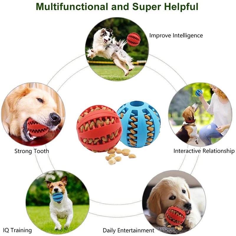 Cross - border pet dog leakage toy balls, teething puzzles, anti - boring and biting training toys - The Happy Pet Store