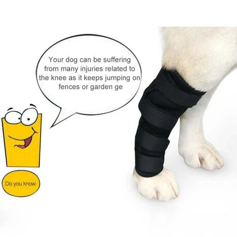Dog Leggings Injury Prevention Licking - The Happy Pet Store