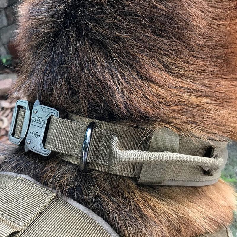 Dog Tag Nylon Tactical Collar With Handle Training Personalized - The Happy Pet Store
