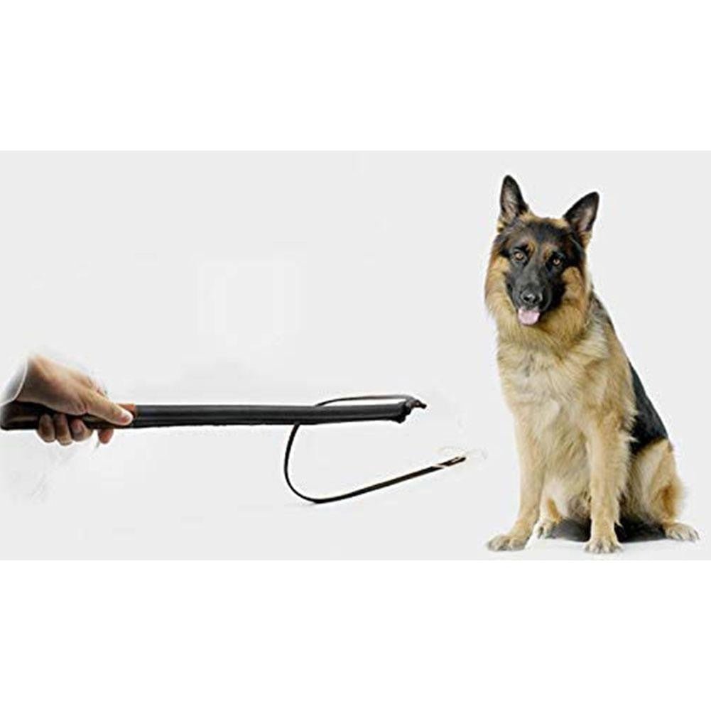 Dog Training Whip Leather - The Happy Pet Store