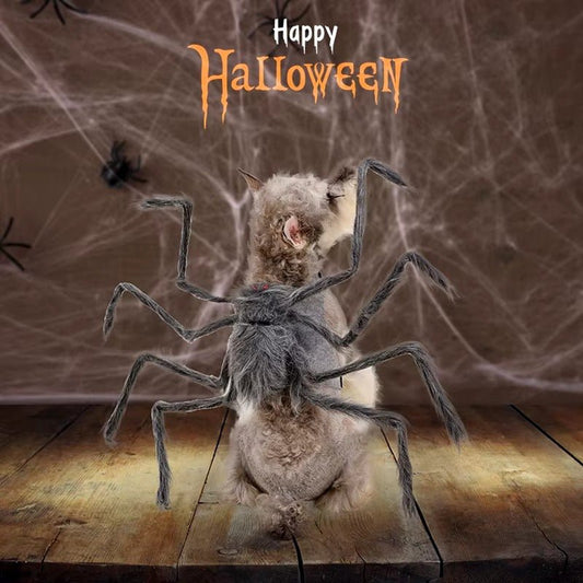 Halloween Pet Spider Costume - Funny Transforming Dog & Cat Outfit with Web Design, Gray/Brown/Black/Purple, Sizes S/M/L,, Perfect for Halloween Parties, Halloween Costumes - The Happy Pet Store