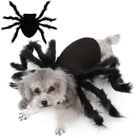 Halloween Spider Costume for Cats and Small/Medium Dogs - Fun and Festive Pet Dress Up - The Happy Pet Store