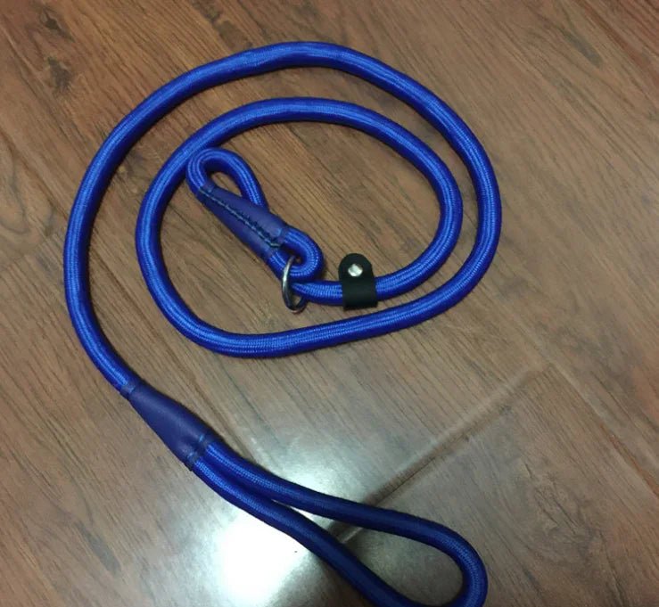 Pet leash dog leash dog chain - The Happy Pet Store