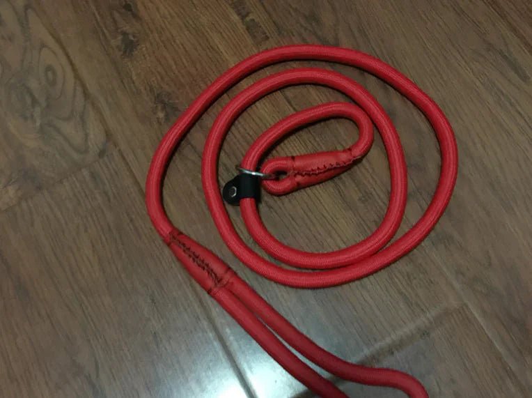 Pet leash dog leash dog chain - The Happy Pet Store